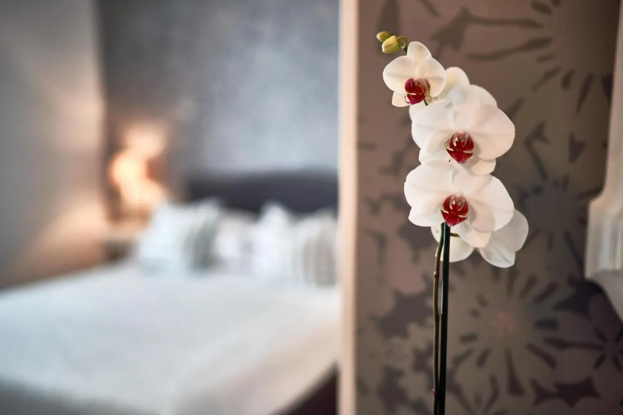 Hotel Clodia - Adults Only Сирмионе