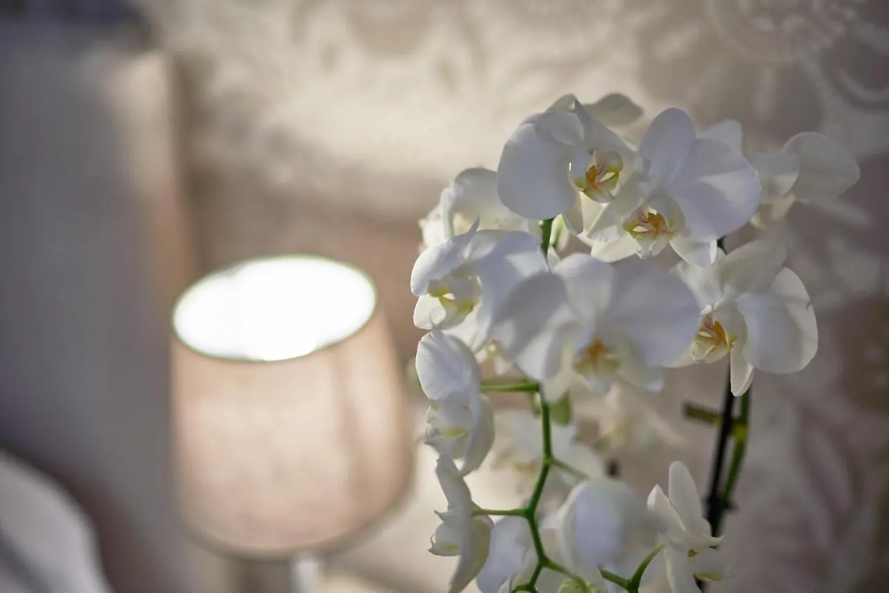 Hotel Clodia - Adults Only Сирмионе Италия